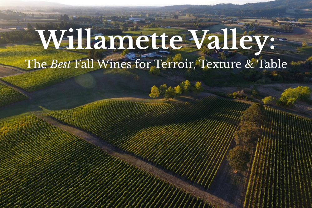 Blog Post: Willamette Valley Pinot Noir: The Best Fall Wines for Terroir, Texture & Table