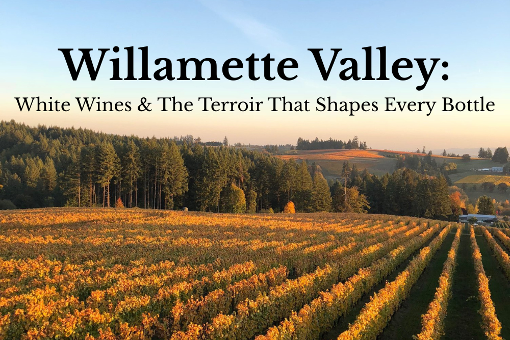 Willamette Valley Whites & The Terroir That Shapes Every Bottle